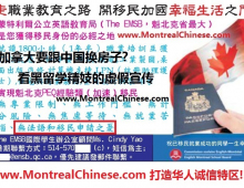 2024年10月最新出炉的魁省蒙特利尔中小学排名